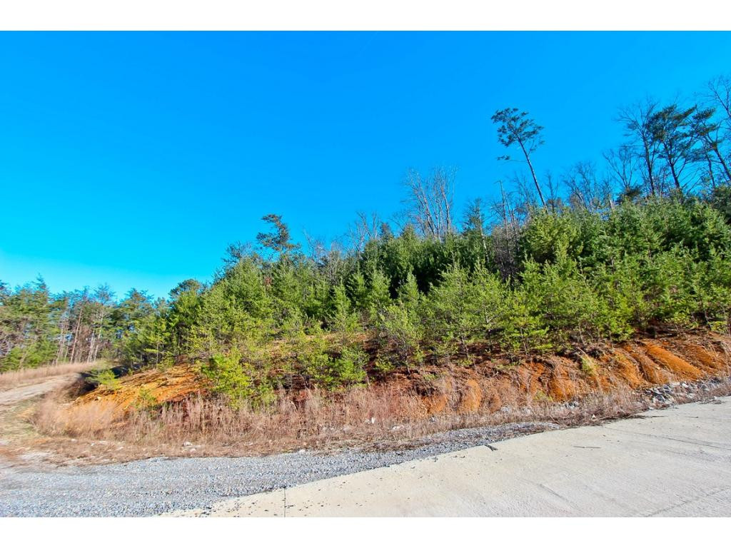 Lot 35 Trentham Road, Unit 35 Newport, TN 37821 - Photo 3 of 12 Photo 3