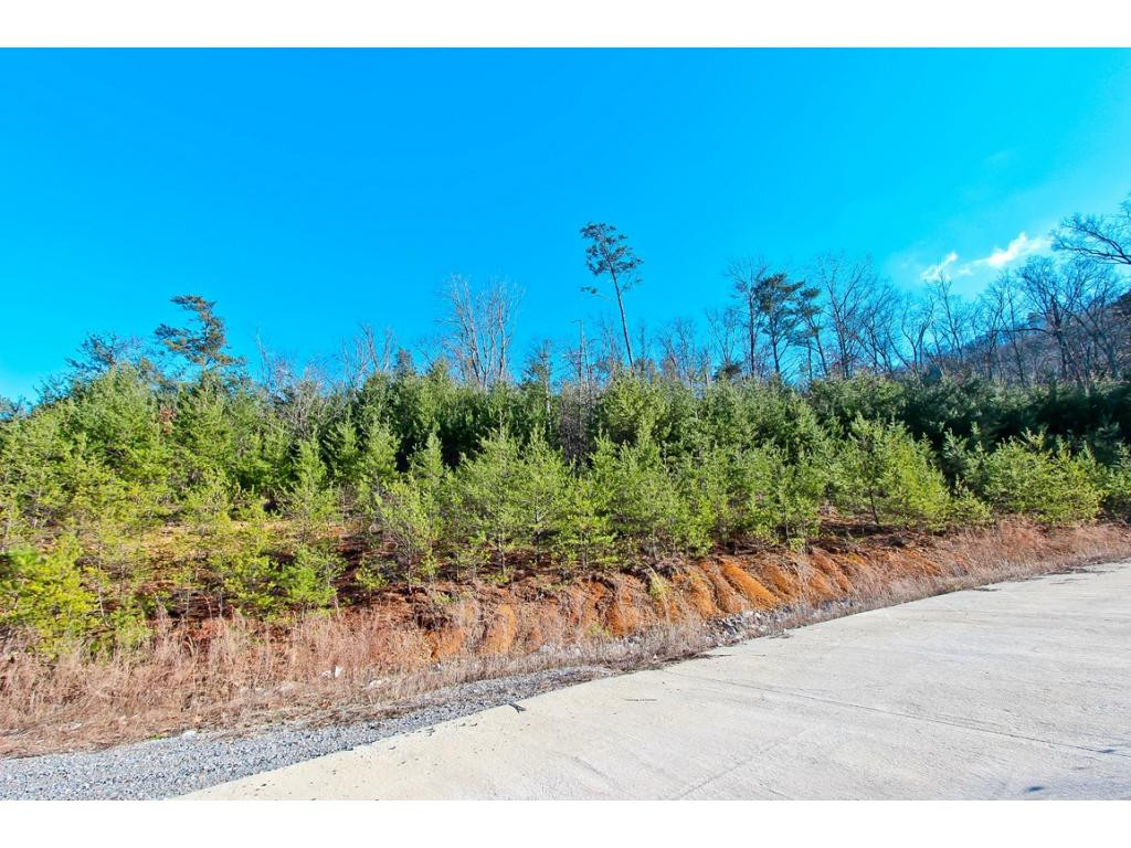 Lot 35 Trentham Road, Unit 35 Newport, TN 37821 - Photo 4 of 12 Photo 4