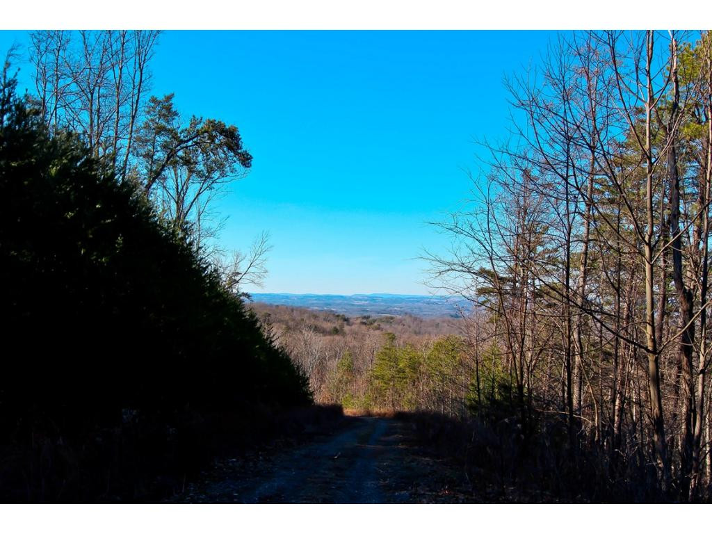 Lot 35 Trentham Road, Unit 35 Newport, TN 37821 - Photo 5 of 12 Photo 5