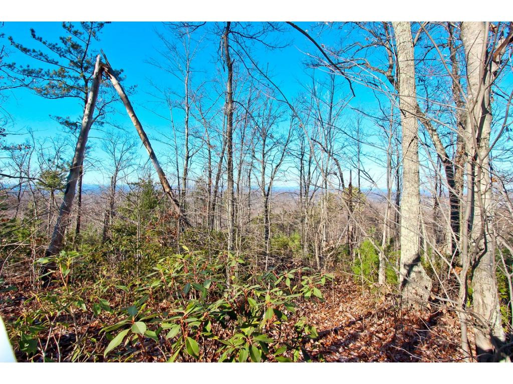 Lot 35 Trentham Road, Unit 35 Newport, TN 37821 - Photo 6 of 12 Photo 6
