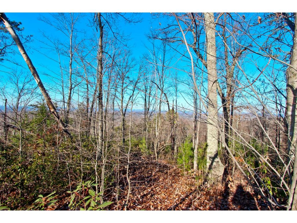 Lot 35 Trentham Road, Unit 35 Newport, TN 37821 - Photo 7 of 12 Photo 7