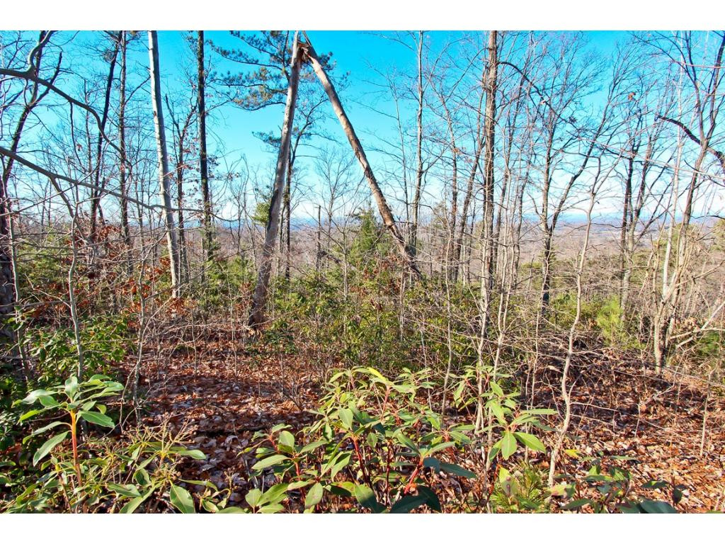 Lot 35 Trentham Road, Unit 35 Newport, TN 37821 - Photo 8 of 12 Photo 8