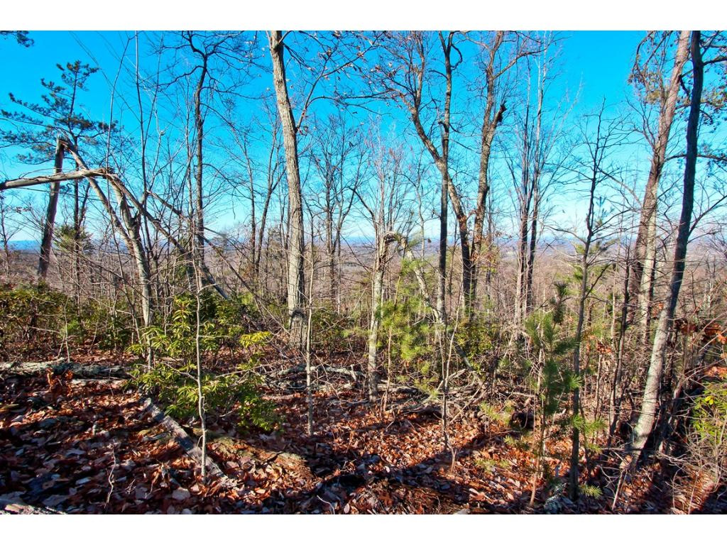 Lot 35 Trentham Road, Unit 35 Newport, TN 37821 - Photo 9 of 12 Photo 9