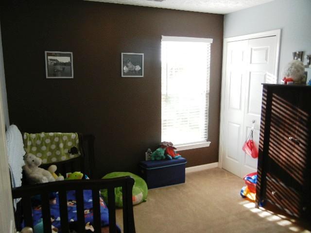1002 Mallory Lane Spring Hill, TN 37174 - Photo 11 of 20 Bedroom 3