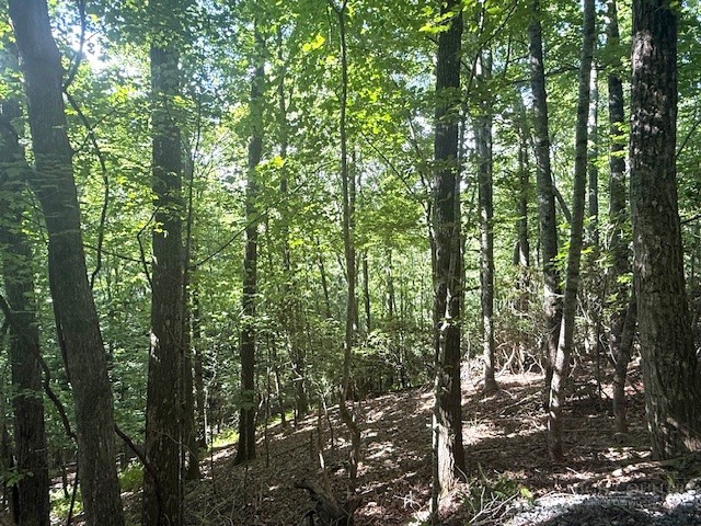 Austin Taylor Road Fleetwood, NC 28626 - Photo 4 of 5 Gallery Image 4