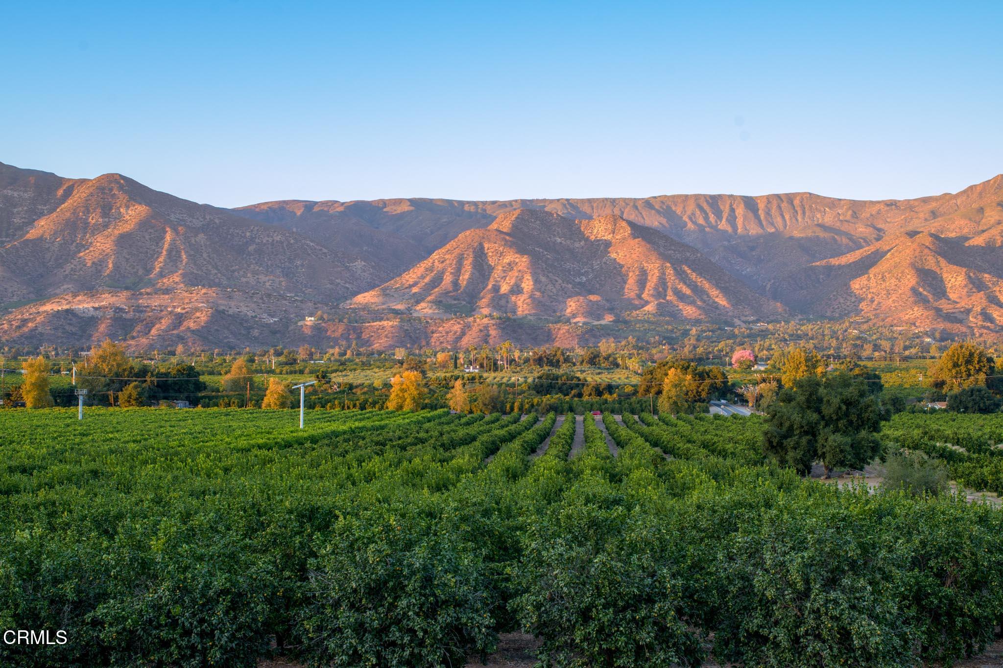 3000 East Ojai Avenue Ojai, CA 93023 - Photo 3 of 34 _AR17706