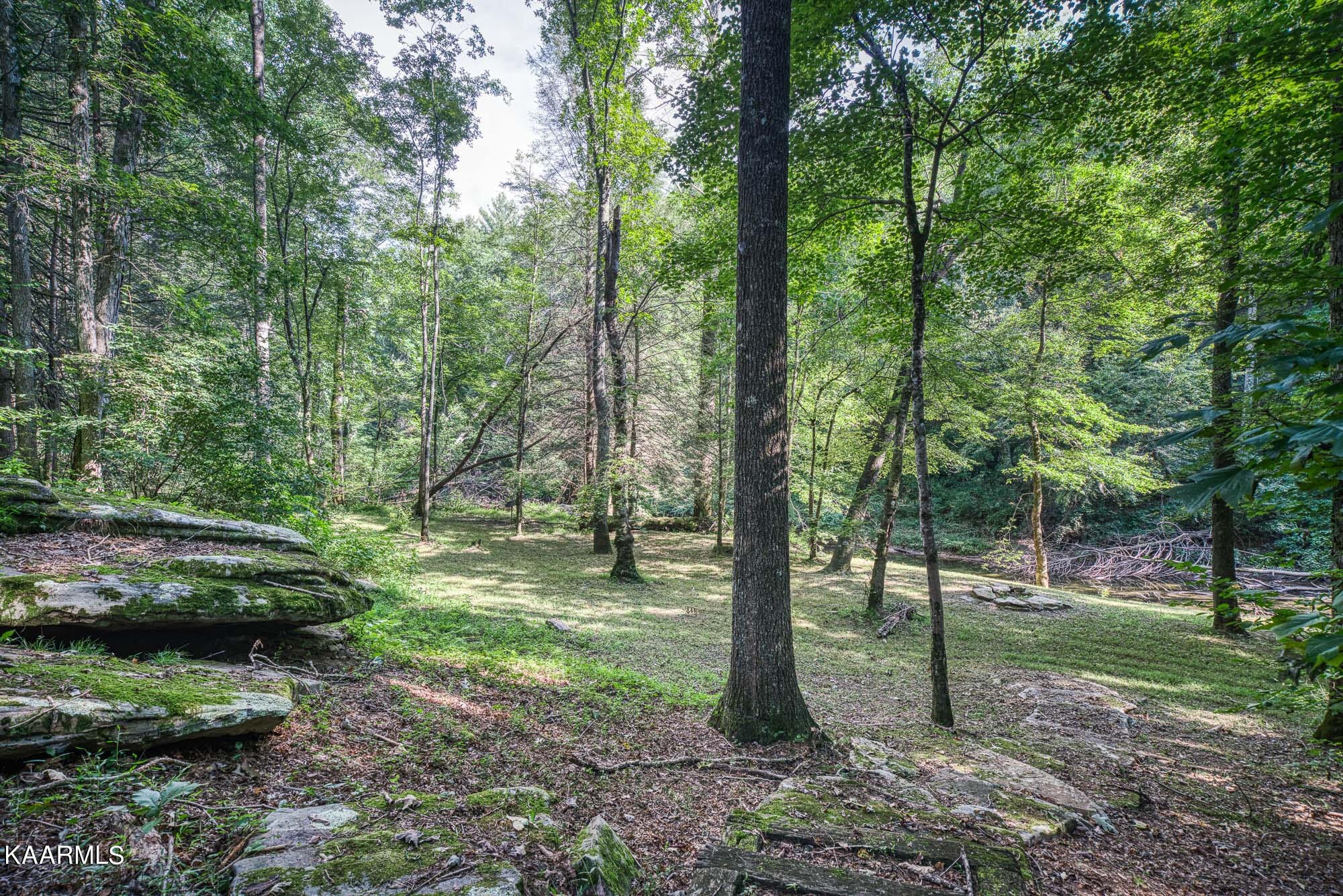 279 Old Stagecoach Road Crossville, TN 38555 - Photo 12 of 49 Gallery Image 12