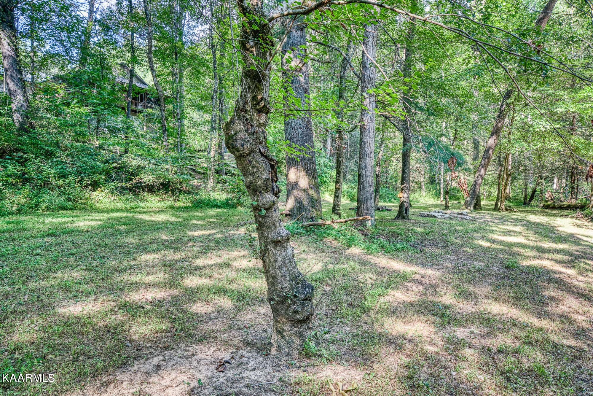 279 Old Stagecoach Road Crossville, TN 38555 - Photo 19 of 49 Gallery Image 19