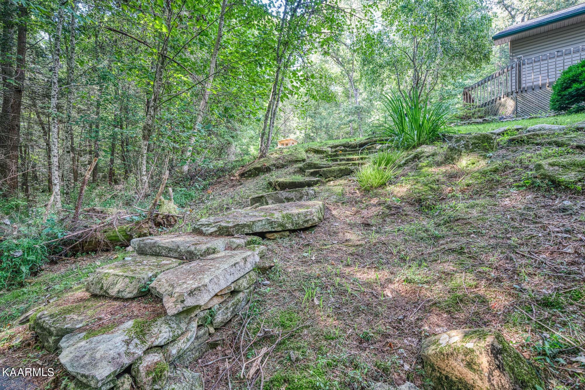 279 Old Stagecoach Road Crossville, TN 38555 - Photo 9 of 49 Gallery Image 9