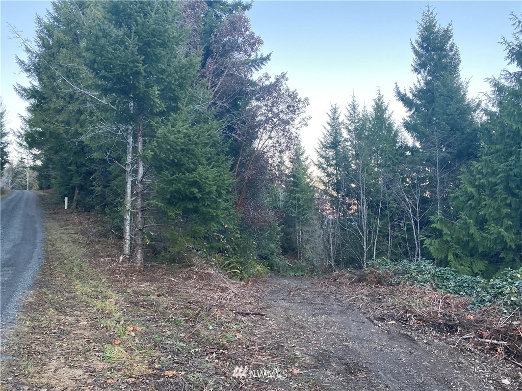 14 Sunrise Road Brinnon, WA 98320 - Photo 5 of 7 Gallery Image 5