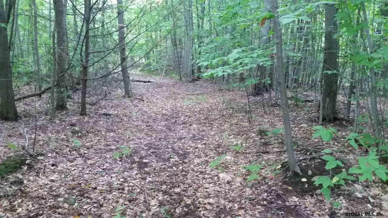 54 Lincoln Mountain Road Corinth, NY 12822 - Photo 3 of 10 Photo 3