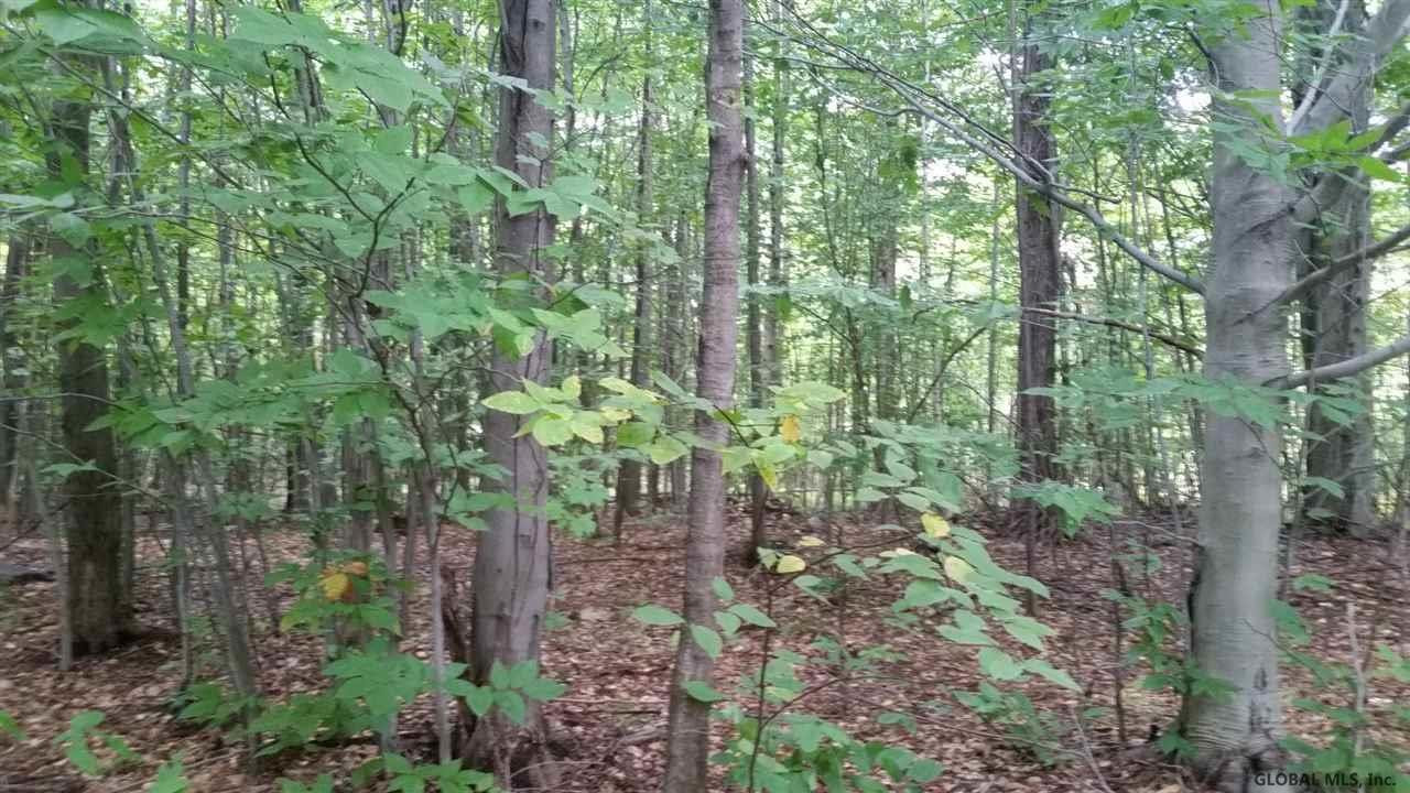 54 Lincoln Mountain Road Corinth, NY 12822 - Photo 4 of 10 Photo 4