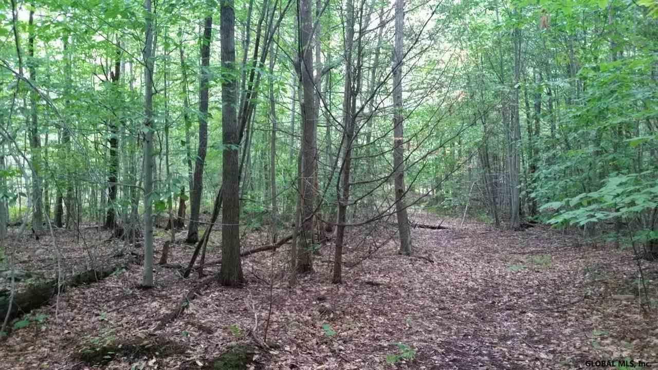 54 Lincoln Mountain Road Corinth, NY 12822 - Photo 6 of 10 Photo 6