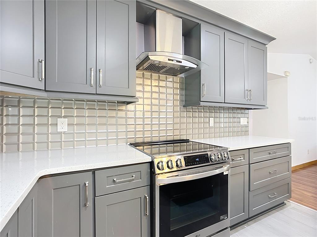 295 Locust Pass Ocala, FL 34472 - Photo 12 of 56