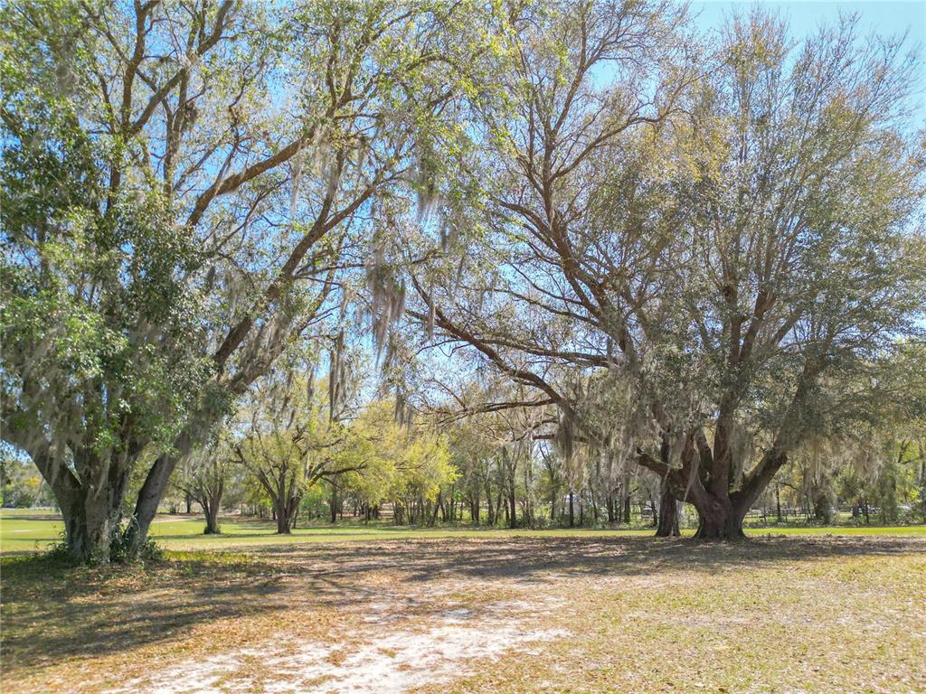 295 Locust Pass Ocala, FL 34472 - Photo 40 of 62