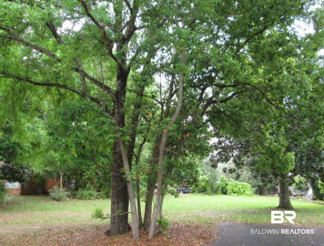 106 Powell Avenue Fairhope, AL 36532 - Photo 1 of 7