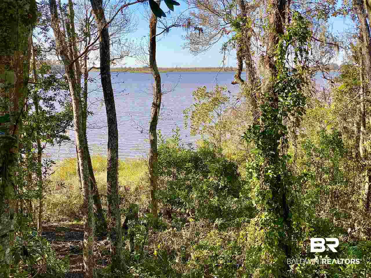 General Canby Loop Daphne, AL 36527 - Photo 5 of 10
