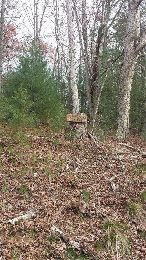 107 Black Bear Ridge Road Campton, KY 41301 - Photo 8 of 8 Photo 8