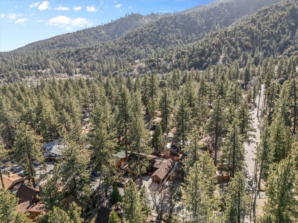 1631 Linnet Road Wrightwood, CA 92397 - Photo 41 of 42 a view of a dry yard with mountains in the background
