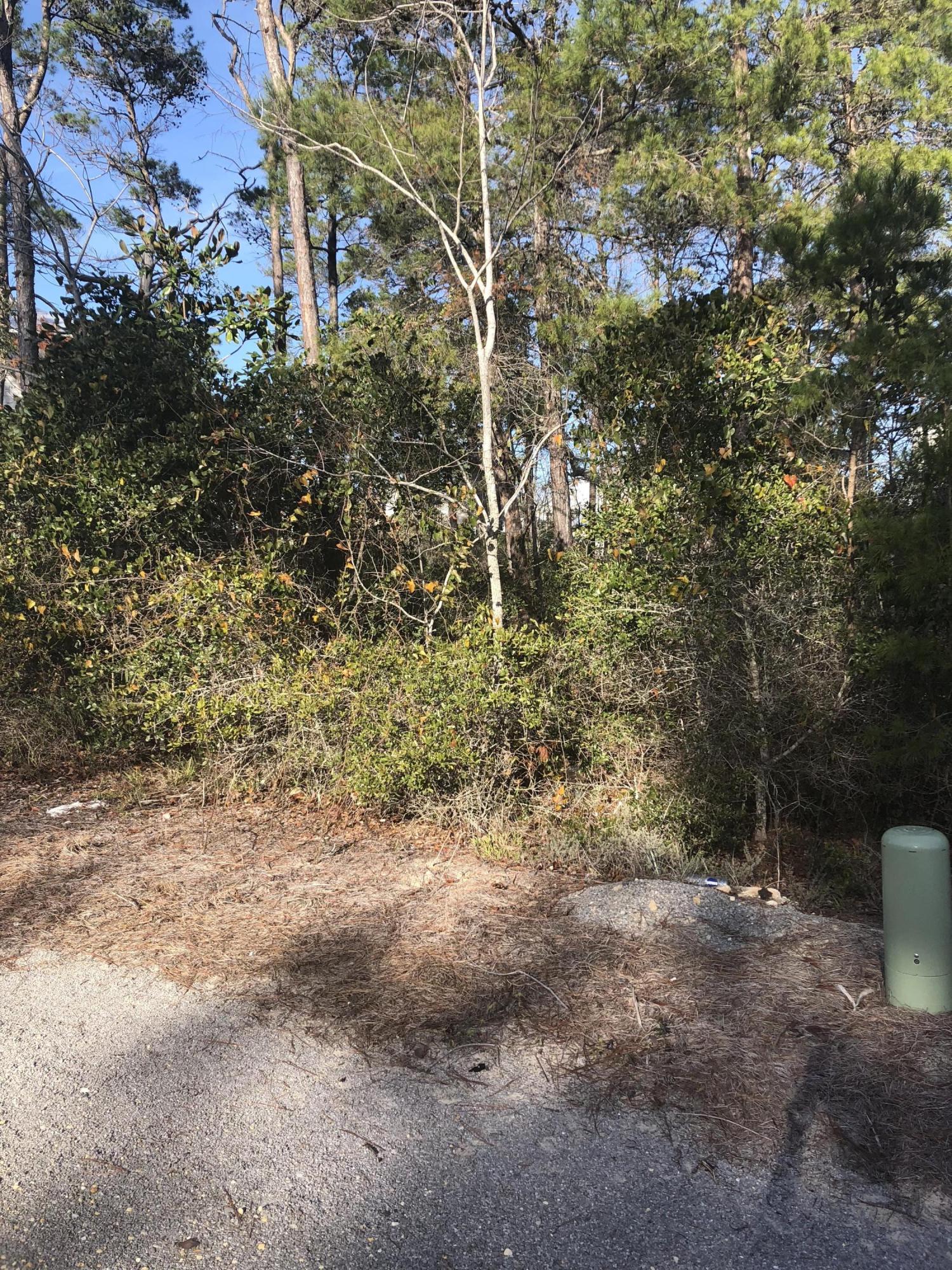 Lot 54 Matt's Way Santa Rosa Beach, FL 32459 - Photo 11 of 15 a view of a yard with a tree