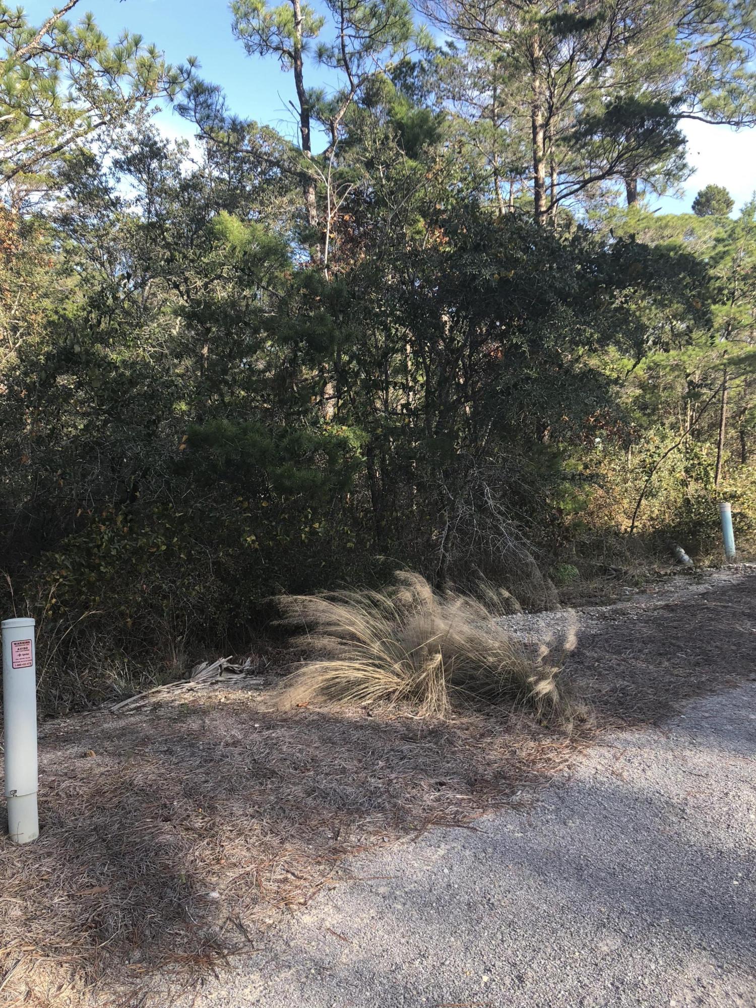 Lot 54 Matt's Way Santa Rosa Beach, FL 32459 - Photo 12 of 15 a view of a yard with a tree