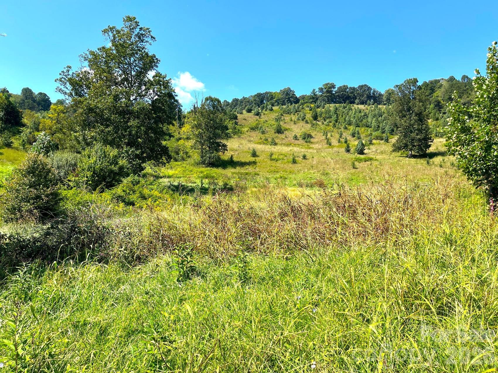 0 Don Felmet Road Marshall, NC 28753 - Photo 11 of 20 Gallery Image 11