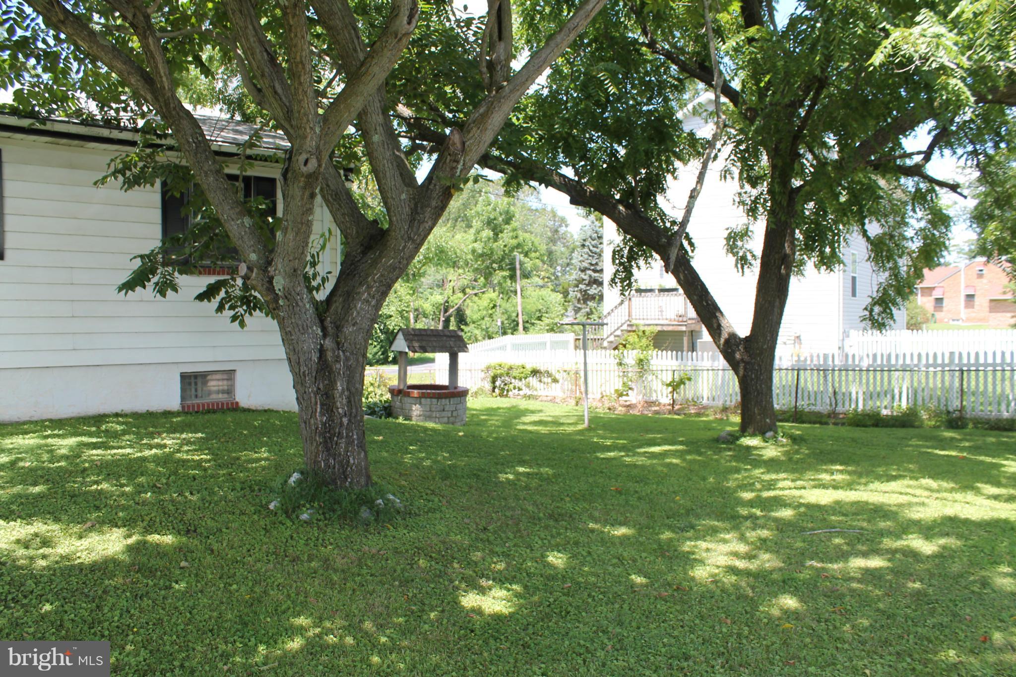 2335 Poplar Road Baltimore, MD 21221 - Photo 15 of 15 a view of a yard with a tree