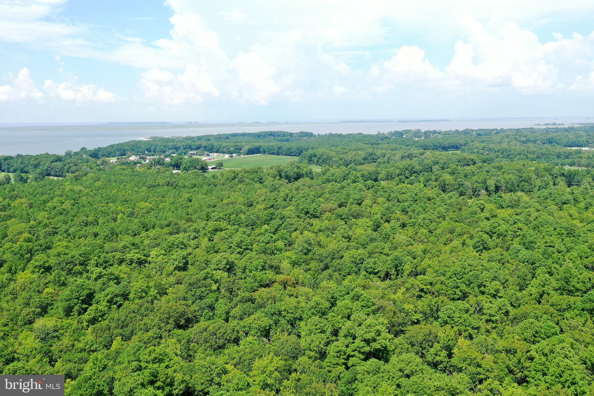 0 Northeast Nanticoke Road Nanticoke, MD 21840 - Photo 11 of 23 Full land view