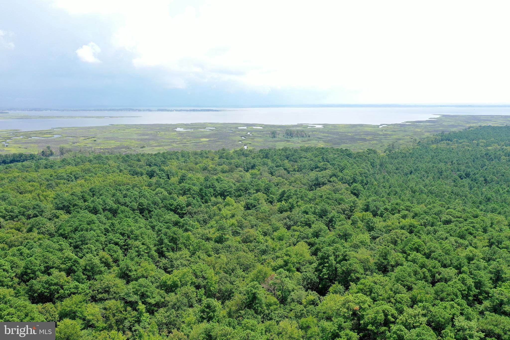 0 Northeast Nanticoke Road Nanticoke, MD 21840 - Photo 14 of 23 View over land