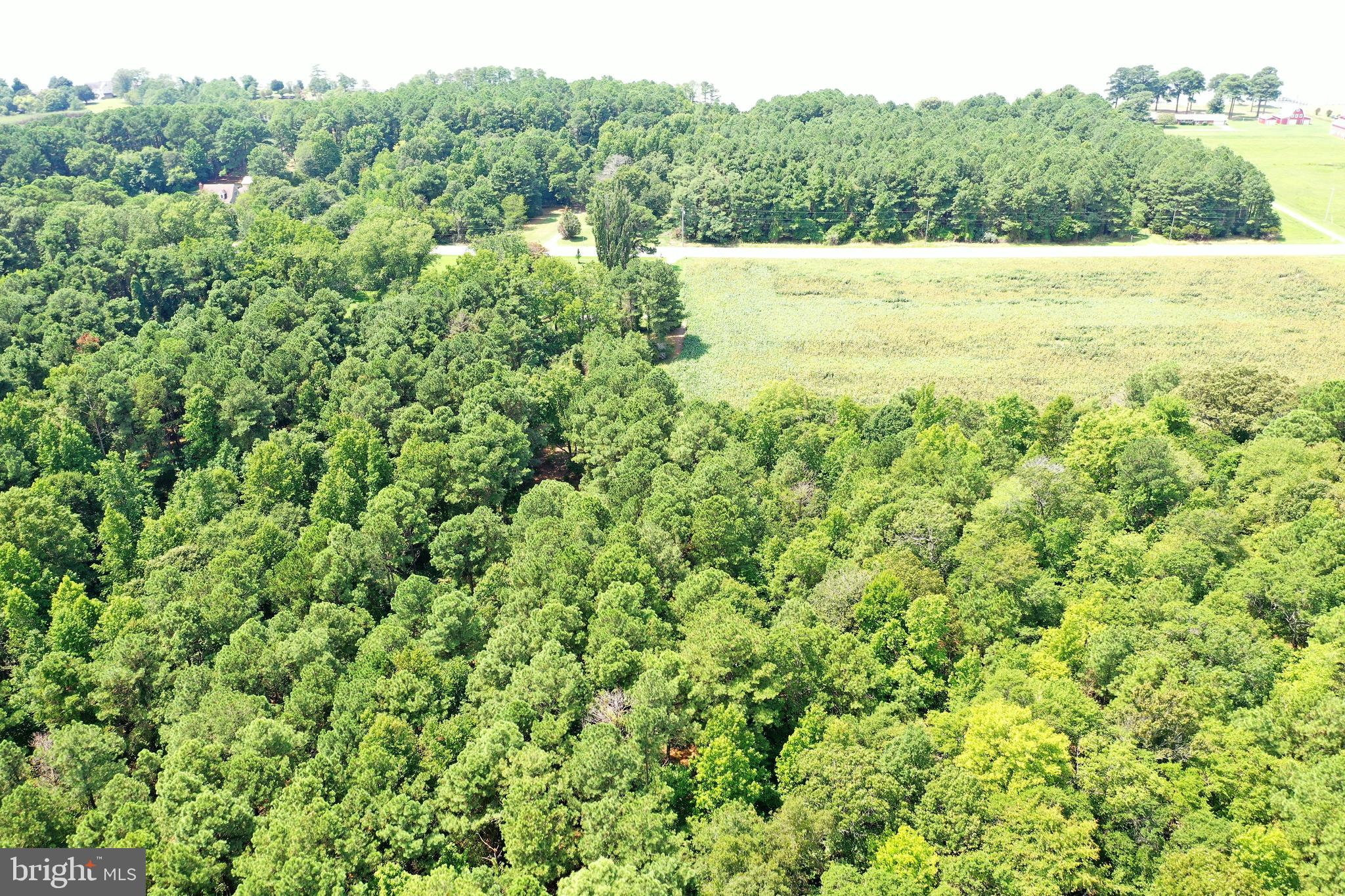 0 Northeast Nanticoke Road Nanticoke, MD 21840 - Photo 19 of 23 View over land