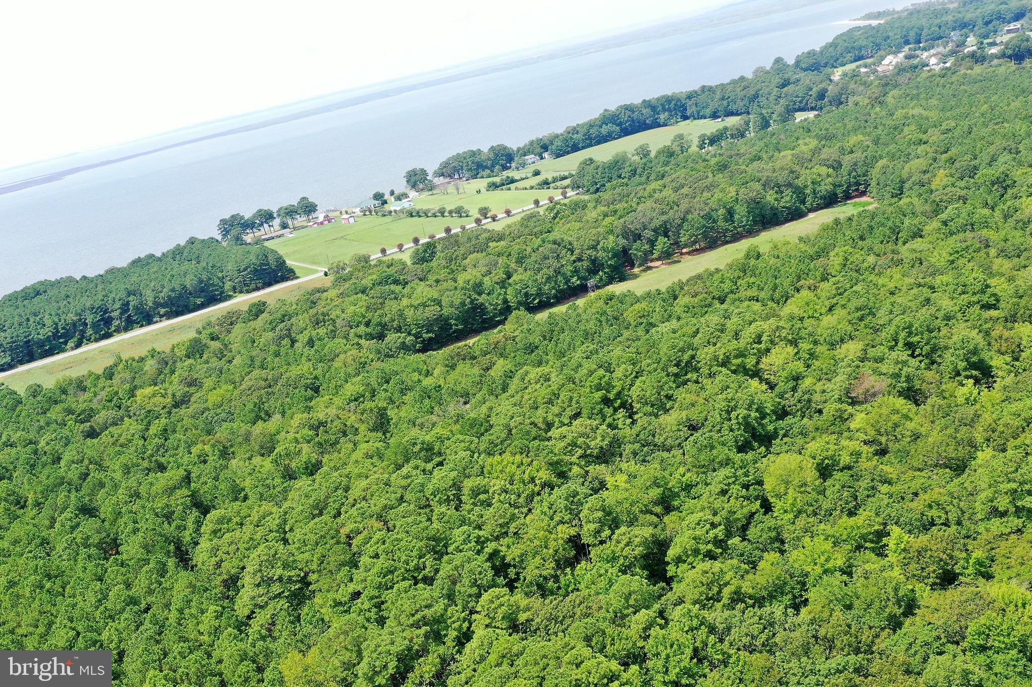 0 Northeast Nanticoke Road Nanticoke, MD 21840 - Photo 20 of 23 View over lot
