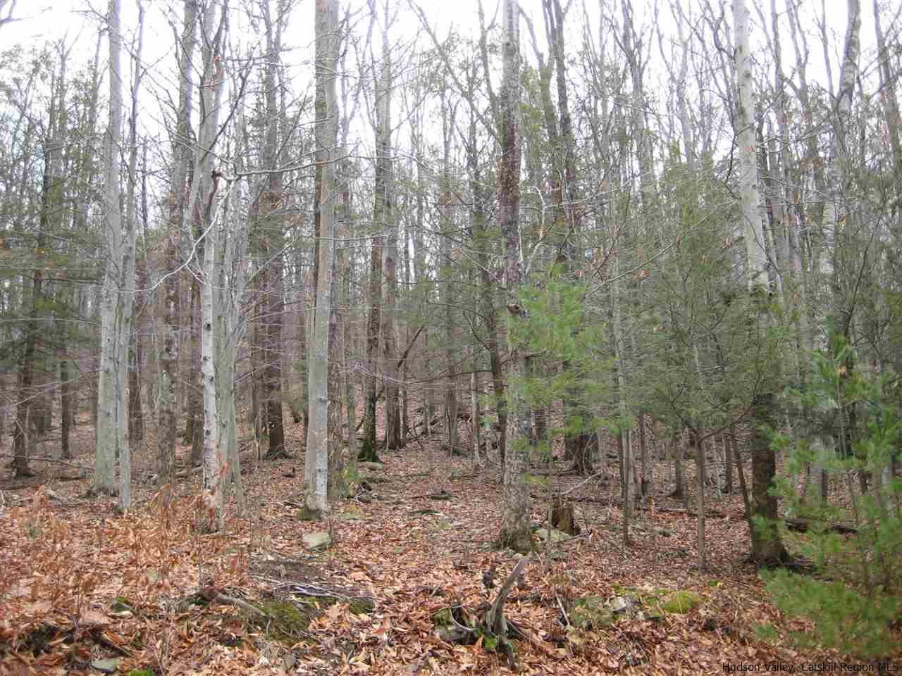 0 Mt Tobias Road Mount Tremper, NY 12457 - Photo 3 of 5 Photo 3