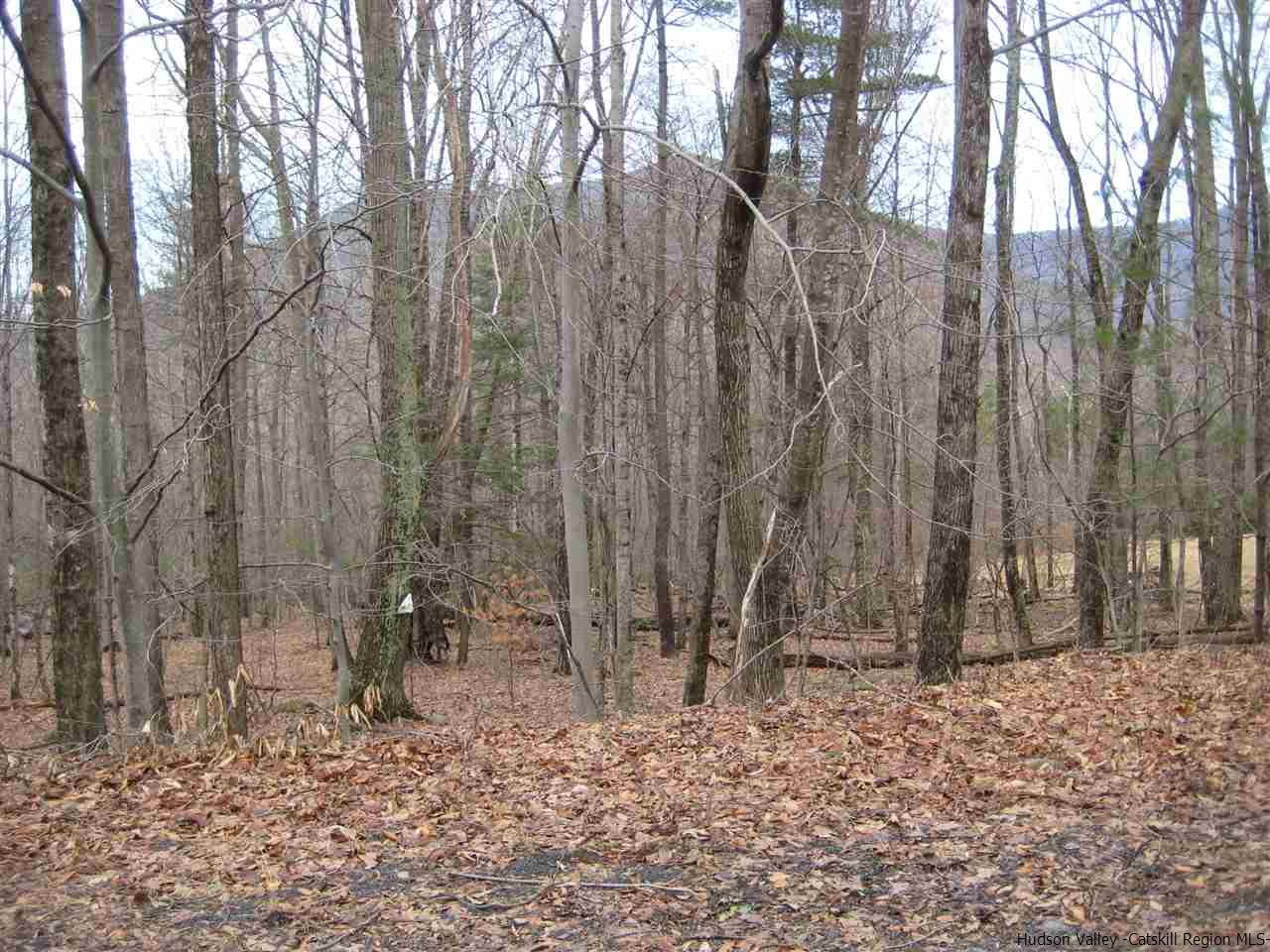 0 Mt Tobias Road Mount Tremper, NY 12457 - Photo 4 of 5 Photo 4