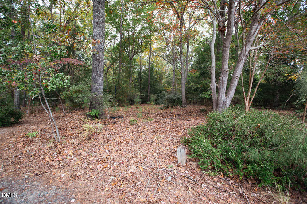 1921 Brassfield Road Raleigh, NC 27614 - Photo 13 of 28 a view of backyard with green space