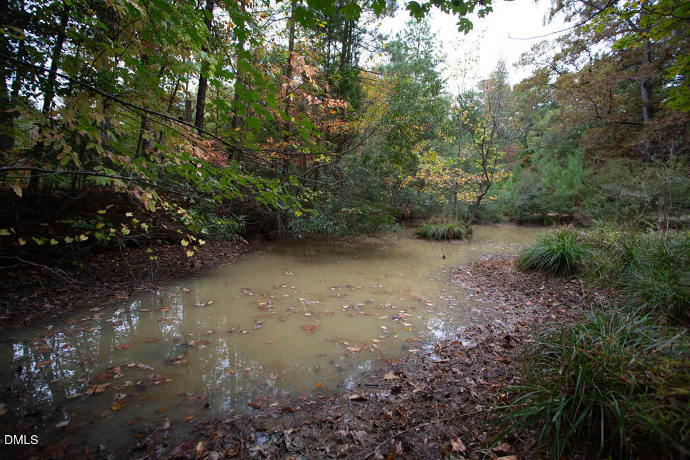 1921 Brassfield Road Raleigh, NC 27614 - Photo 17 of 28 a view of a forest with trees