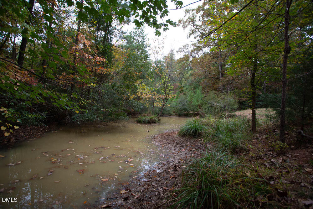 1921 Brassfield Road Raleigh, NC 27614 - Photo 18 of 28 a view of a forest with trees in the background