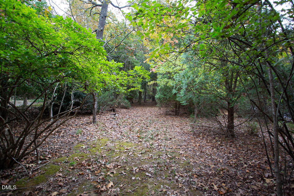 1921 Brassfield Road Raleigh, NC 27614 - Photo 20 of 28 a big yard with lots of green space