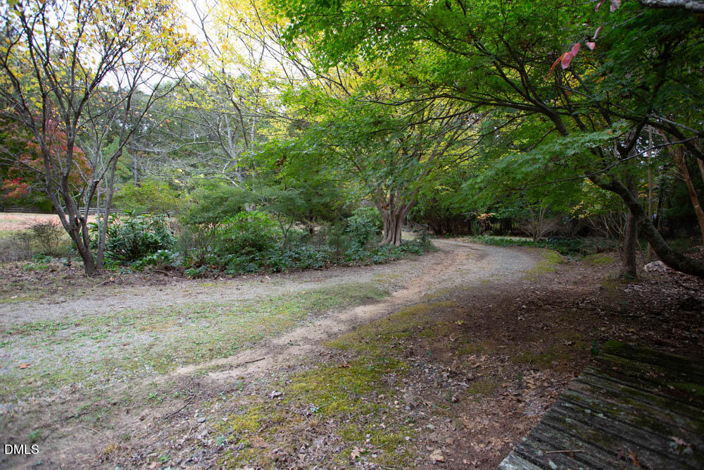 1921 Brassfield Road Raleigh, NC 27614 - Photo 22 of 28 a view of a yard with a tree