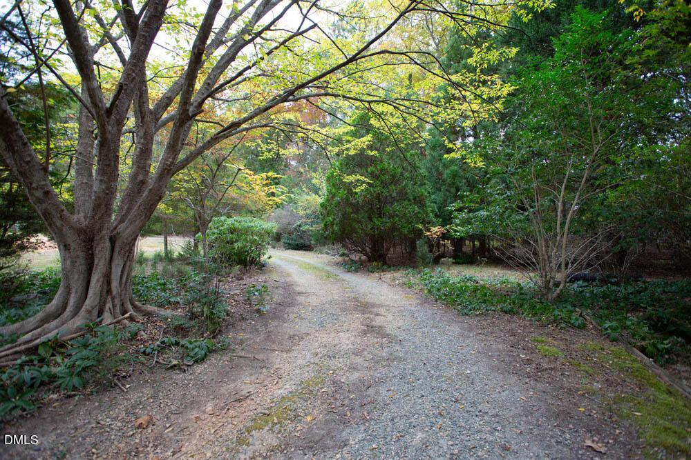 1921 Brassfield Road Raleigh, NC 27614 - Photo 23 of 28 a view of outdoor space and a yard