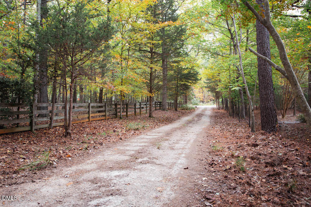 1921 Brassfield Road Raleigh, NC 27614 - Photo 24 of 28 a view of a forest with trees
