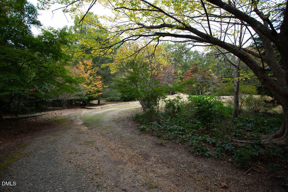 1921 Brassfield Road Raleigh, NC 27614 - Photo 25 of 28 a view of a yard with plants and trees