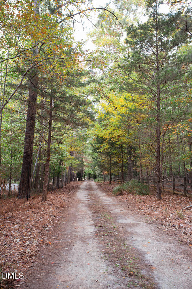 1921 Brassfield Road Raleigh, NC 27614 - Photo 3 of 28 a view of a trees with trees in the background