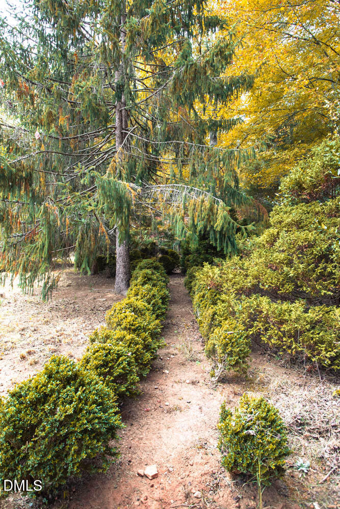 1921 Brassfield Road Raleigh, NC 27614 - Photo 9 of 28 a view of a pathway with a tree