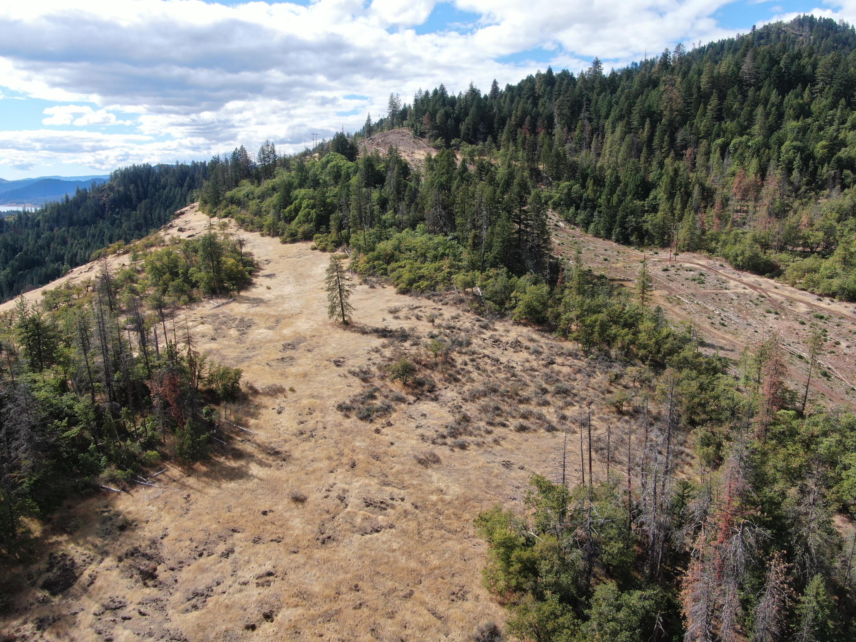 Crater Lake Highway Prospect, OR 97536 - Photo 11 of 12 Gallery Image 11