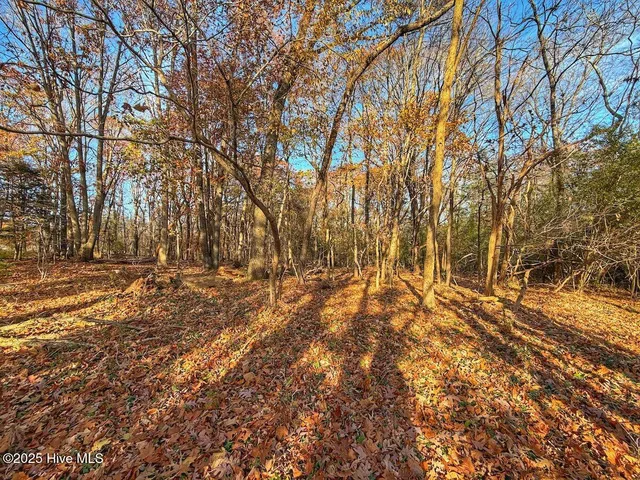 $45,900 | 0 Mabry Mill Road, Henderson, NC 27537