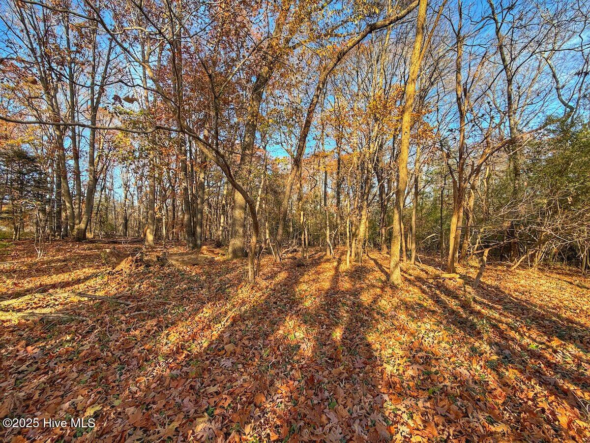 0 Mabry Mill Road Henderson, NC 27537 - Photo 13 of 42 9