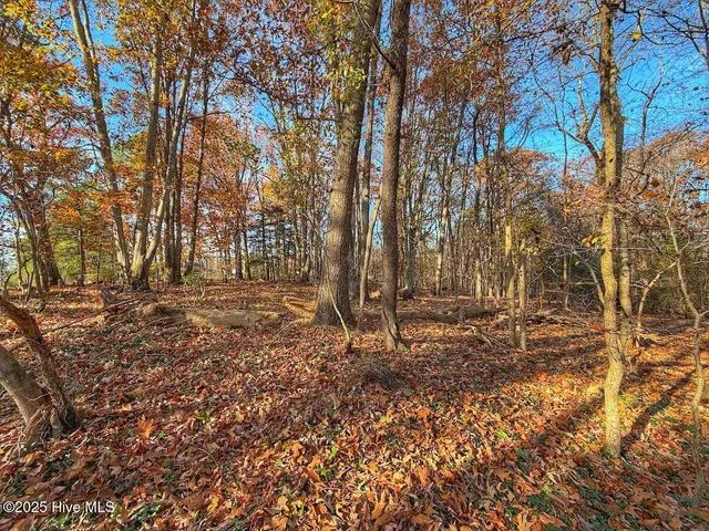 $45,900 | 0 Mabry Mill Road, Henderson, NC 27537