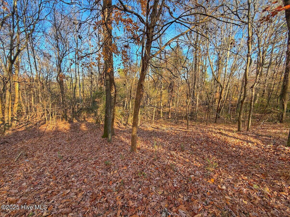 0 Mabry Mill Road Henderson, NC 27537 - Photo 21 of 42 17