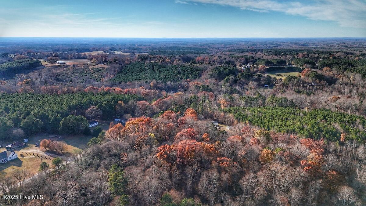 0 Mabry Mill Road Henderson, NC 27537 - Photo 23 of 42 19