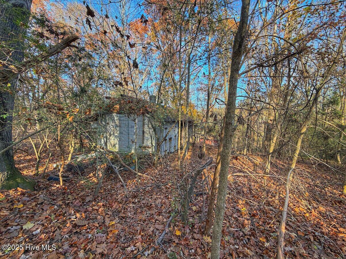 0 Mabry Mill Road Henderson, NC 27537 - Photo 25 of 42 21